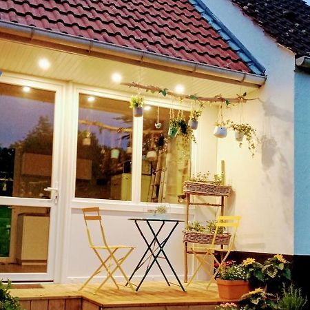 Le Cottage Du Marais. Houlle Exteriér fotografie